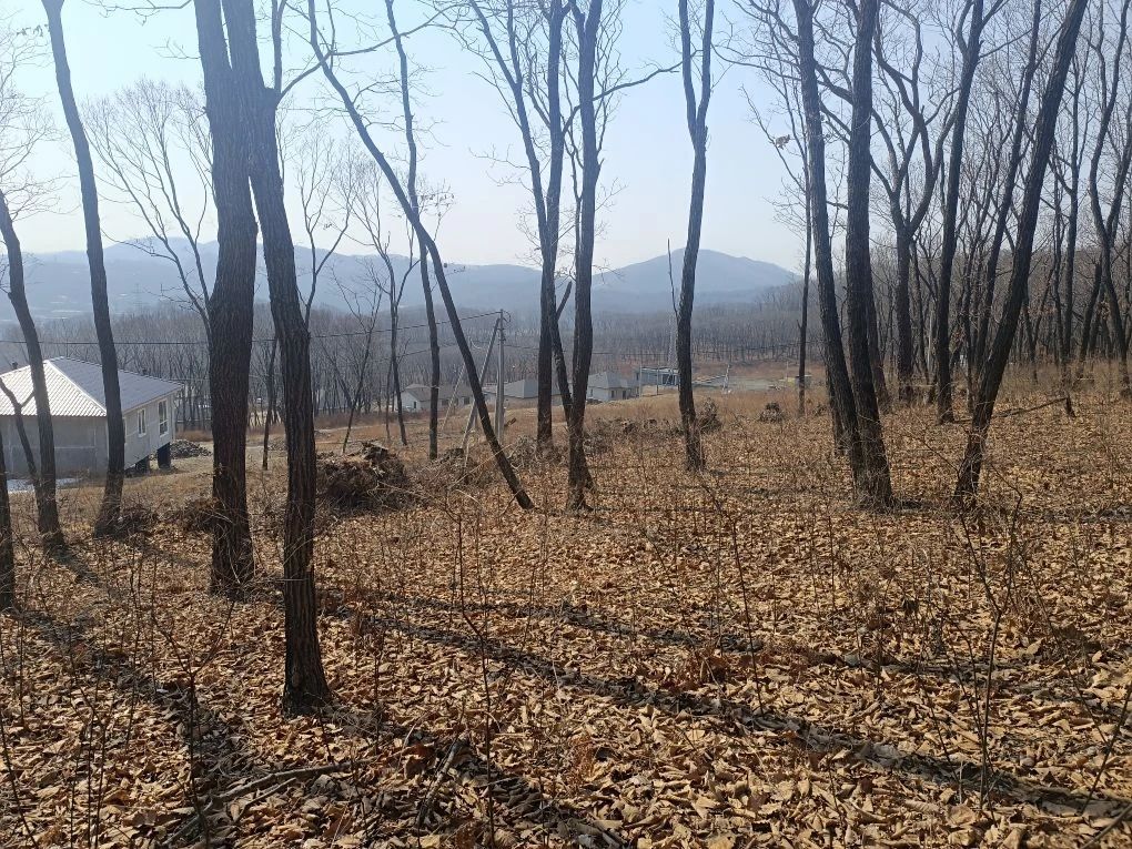 Объект недвижимости